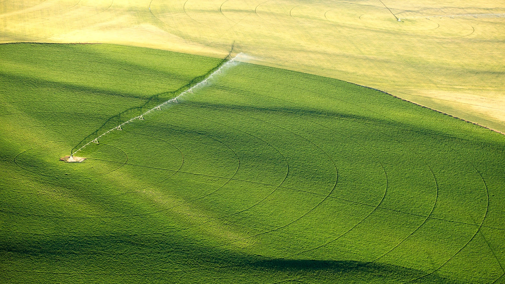 AgriTurf Namibia