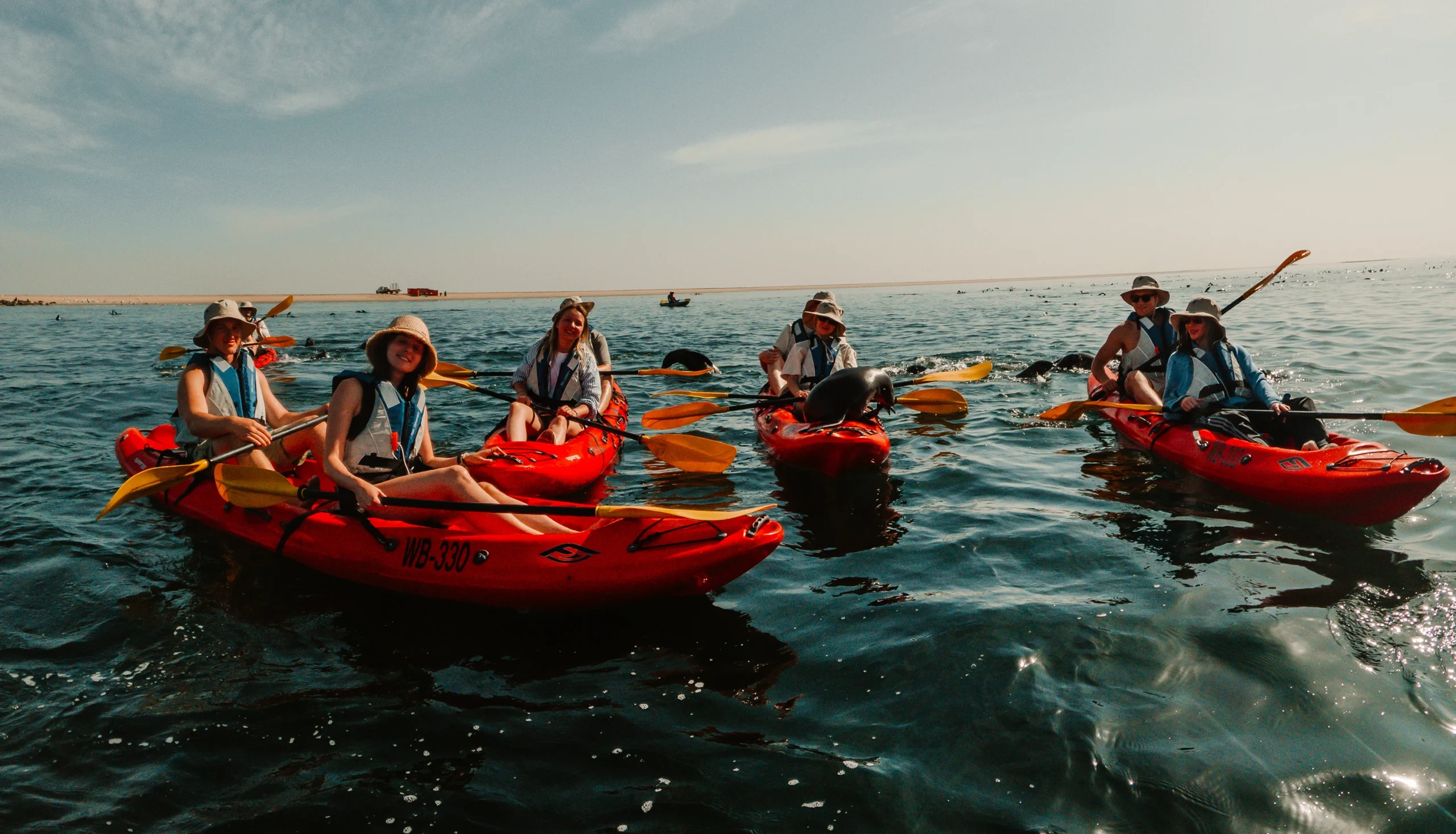 Mola Mola Safaris — Paddle across Walvis Bay