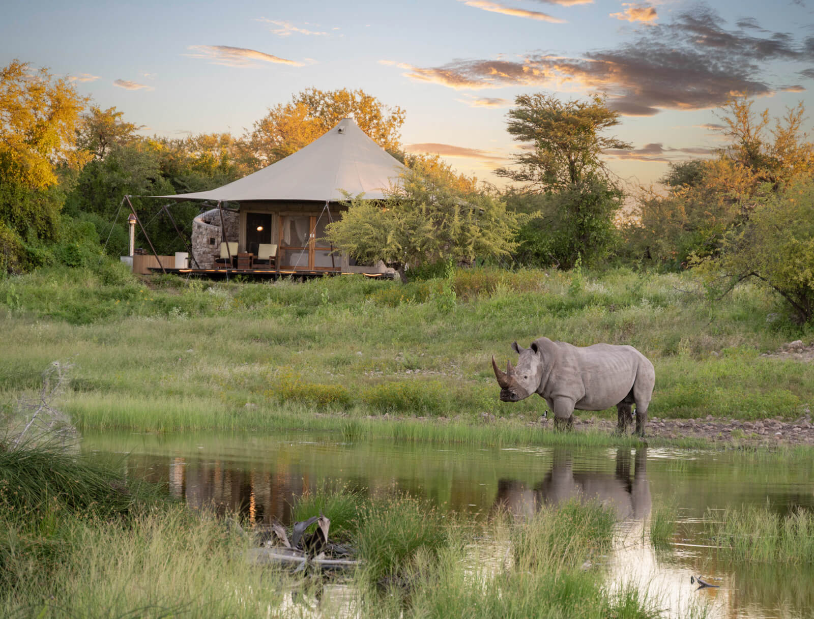 Onguma Tented Camp — A tent beside the waterhole