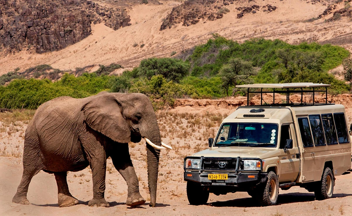 Photograph 1 — Ultimate Safaris